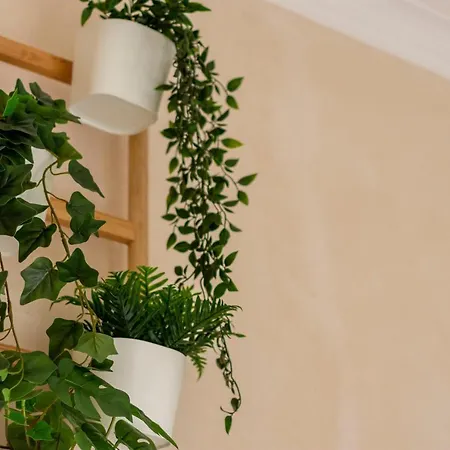 Popolare بيت ضيافة 3*